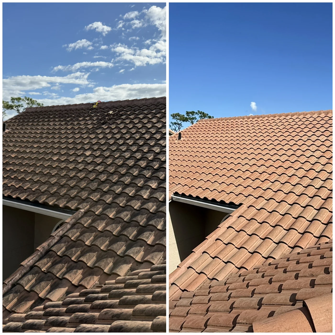 Suntree barrel tile roof before soft washing on the left and after cleaning on the right